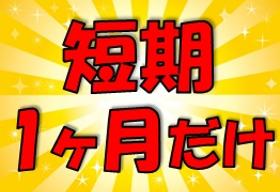 一般事務(書類の確認とデータ入力)