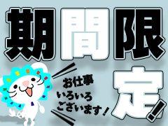 市場調査(観光地における街頭アンケート)