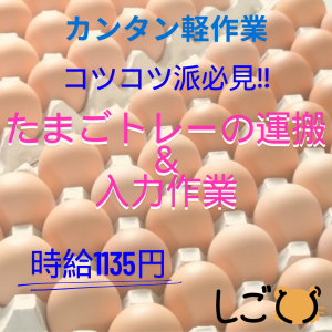 食品製造スタッフ(たまごトレーの運搬と入力業務)