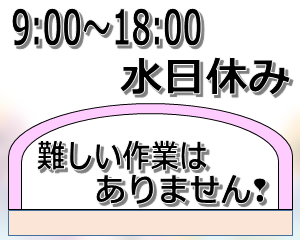 製造業(練り物製品の原料を機械に投入と梱包と箱詰め作業)