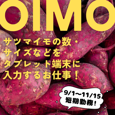 軽作業(倉庫内作業　さつま芋のサイズや数の登録、タブレット入力)