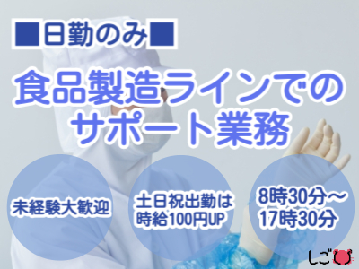 食品製造スタッフ(チルド食品の製造ラインでのサポート業務)