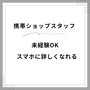 携帯販売(家電量販店での携帯販売等)