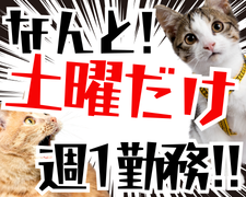 ピッキング（検品・梱包・仕分け）(食料品や日用品の仕分け)