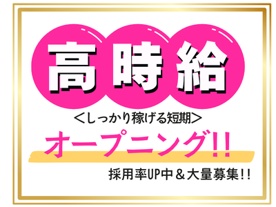 コールセンター管理・運営（SV・リーダー）(給付金に関する問合せ窓口SV)