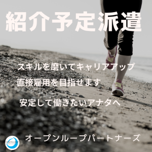 コールセンター・テレオペ（受信）(動画配信サービスのカスタマーサポート)