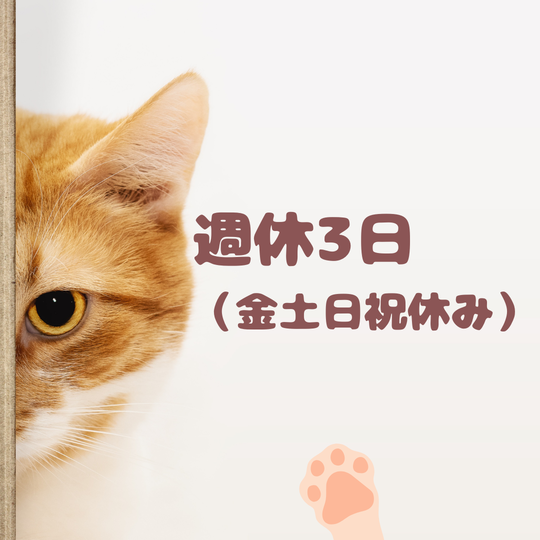 食品製造スタッフ(カップスープの材料投入)