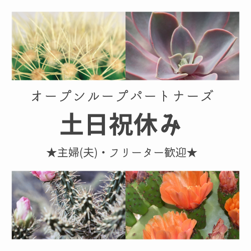 コールセンター・テレオペ（受信）(特約火災保険に関する問合せ対応)