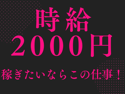 コールセンター管理・運営（SV・リーダー）(サイトのログインに関する問合せ対応リーダー)