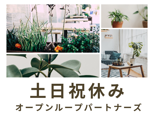 コールセンター・テレオペ（受信）(補助金の申請方法などに関するお問合せコールセンター対応)