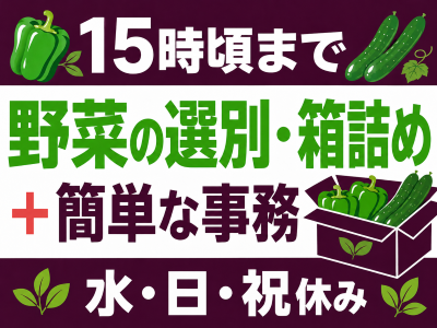 ピッキング（検品・梱包・仕分け）(青果物の選別・箱詰めと事務補助)