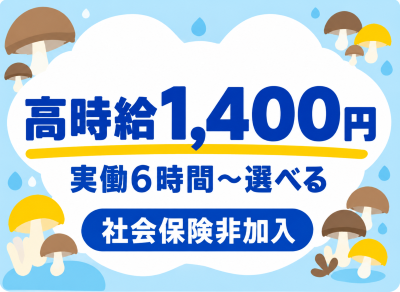 検査・品質チェック(きのこ栽培収穫)
