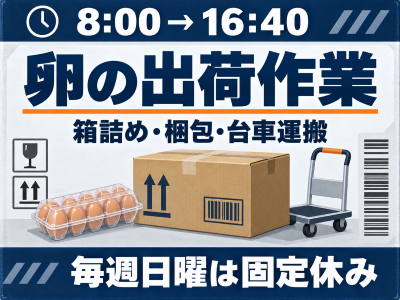 食品製造スタッフ(卵の箱詰め・運搬)
